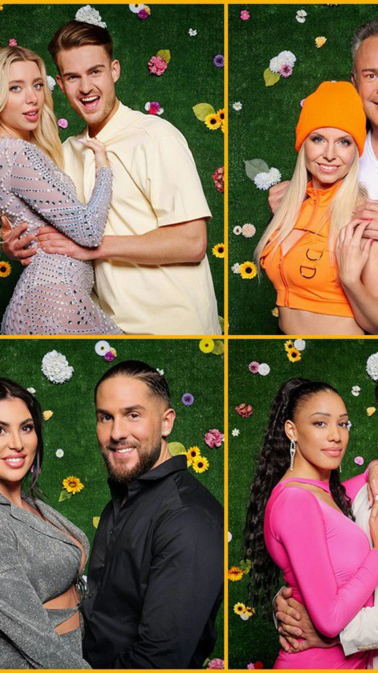 постер Das Sommerhaus der Stars